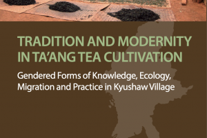 UMD 26: Tradition and Modernity in Ta’ang Tea Cultivation
