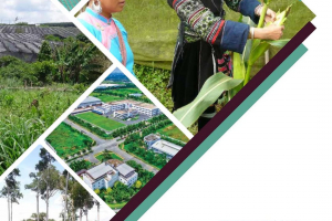 Key Themes in Land Governance: Synopses of Research, Policy and Action in the Mekong Region